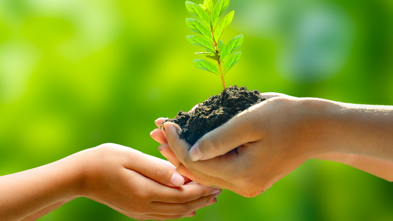 giving to the planet