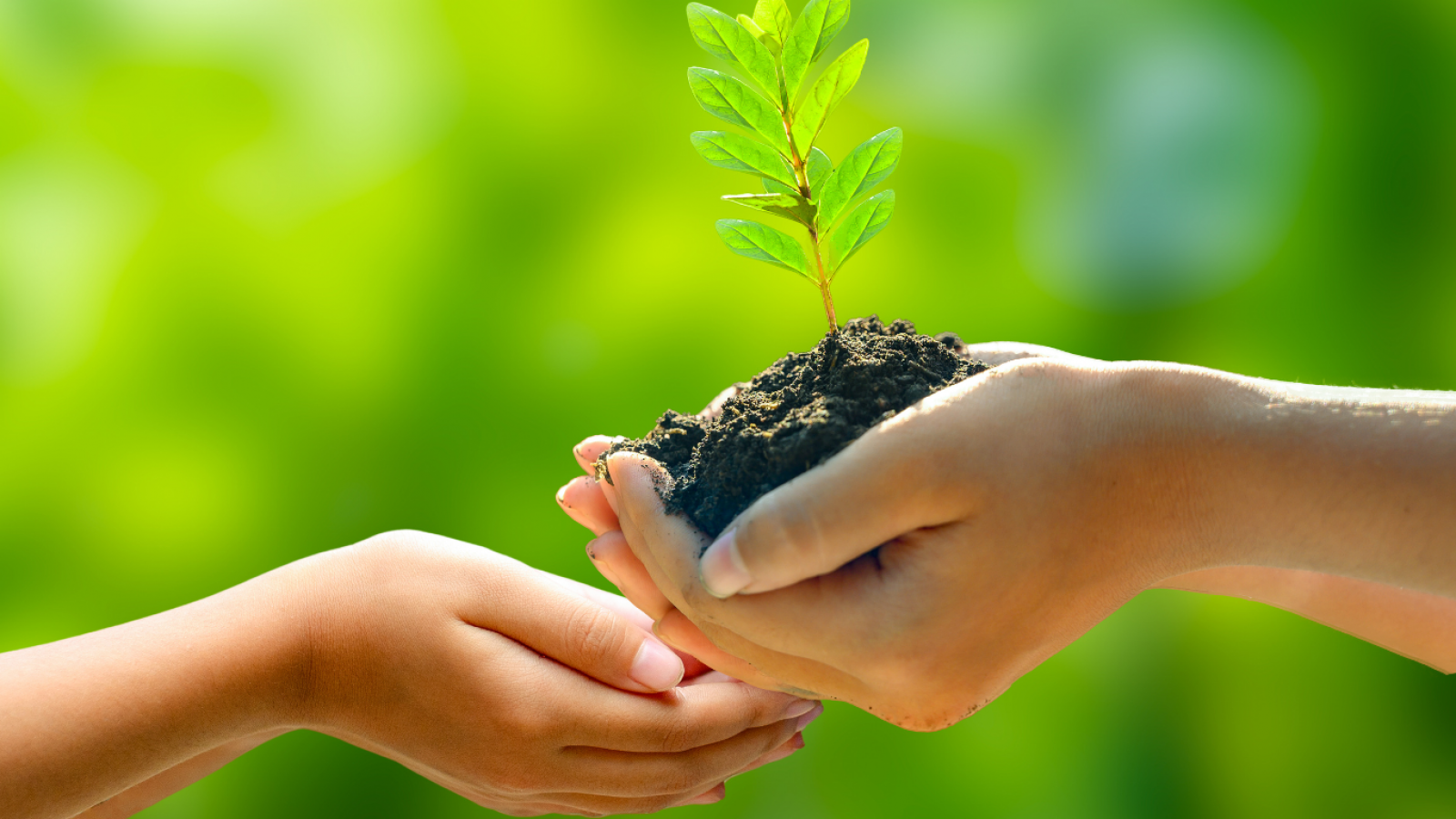 giving to the planet