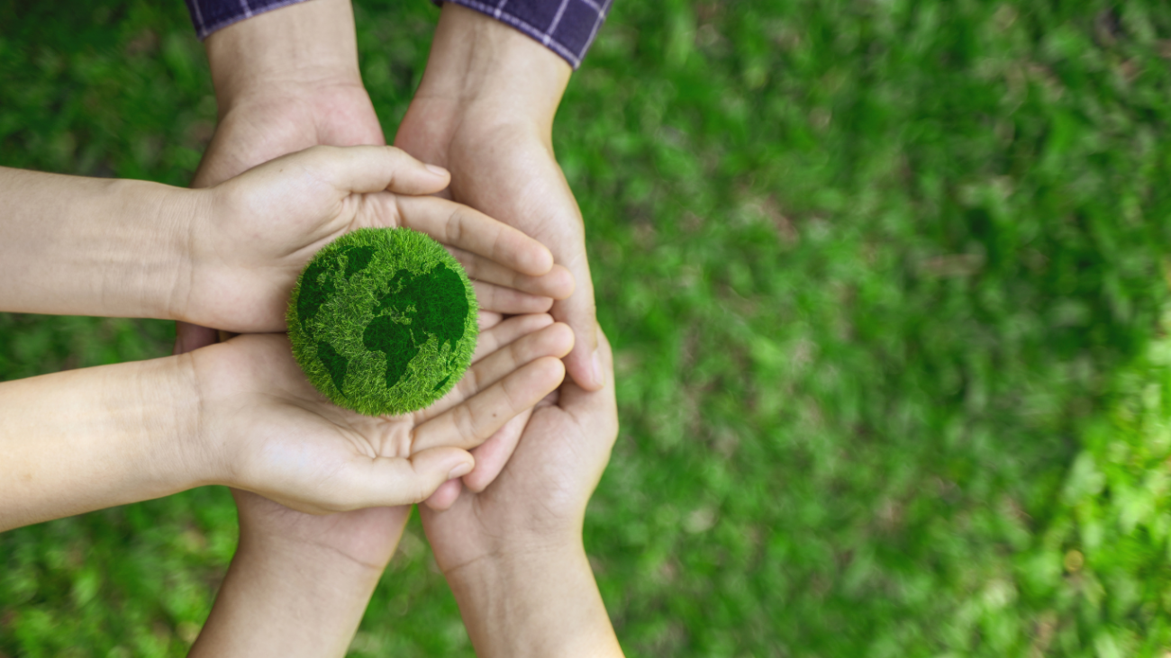 sustainable living