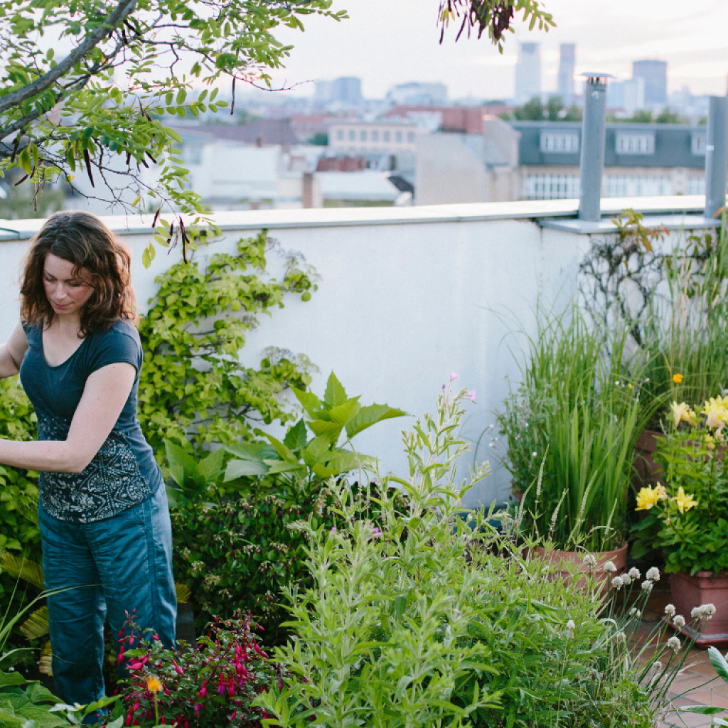 sustainable way of living