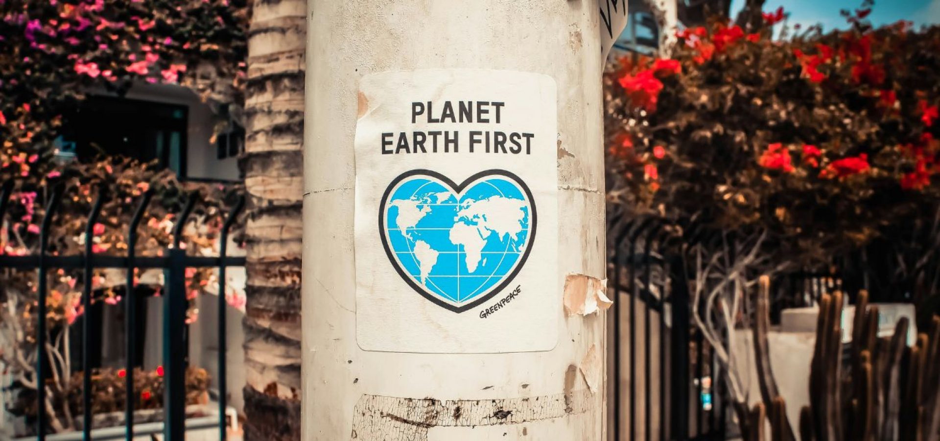 environmental friendliness