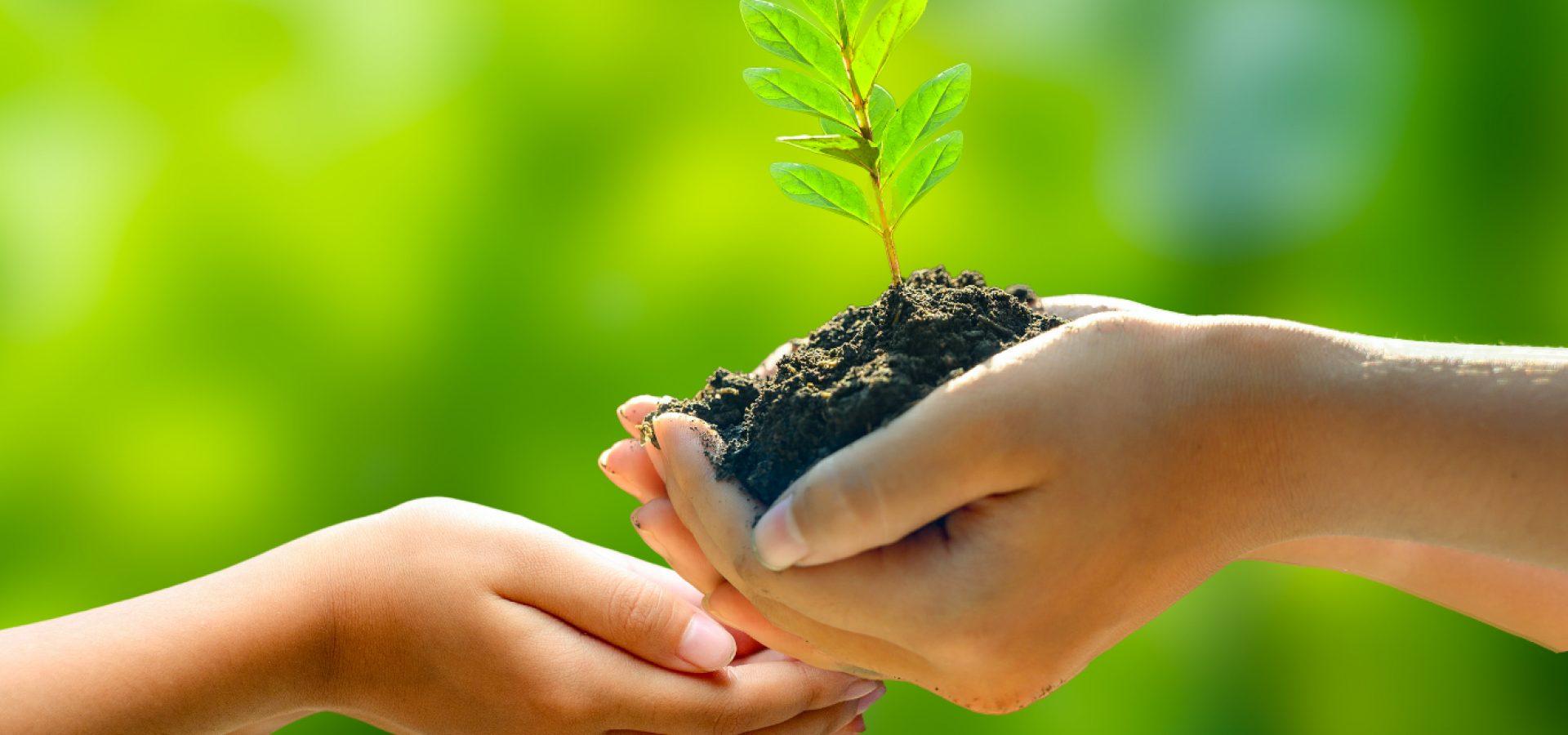 giving to the planet