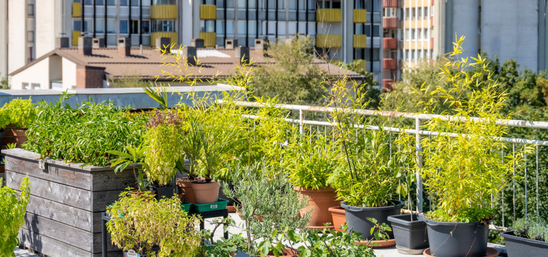 green urban living green urban living