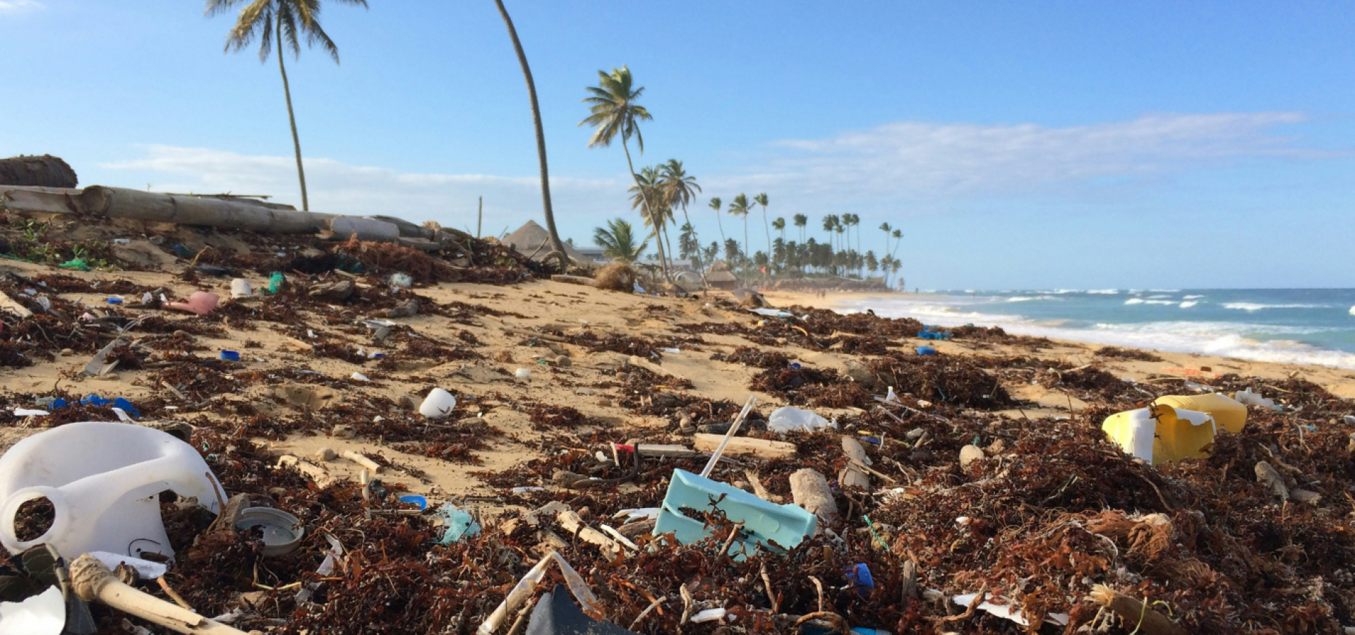 waste reduction management waste reduction management
